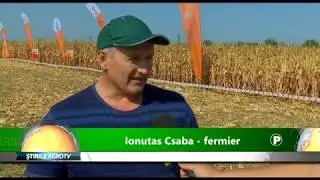 KWS România hibrizi de porumb care tolerează seceta 16 09 2019
