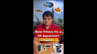 Best Filters for 2ft Aquarium #shorts #aquarium #aquariums #aquascape #aquascaping #fishtank #pets
