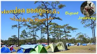 005 ฟอกปอดยอดภูกระดึง กับ แมวพเนจร