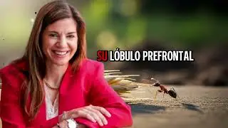 Los Secretos Para Que Tu Hijo Te Haga Caso SIEMPRE   Marian Rojas Estapé360P