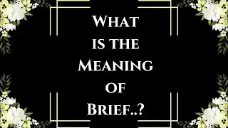 What is the Meaning of Brief