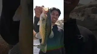 🎣 First Time Fishing Adventure | Epic Bass Haul Near Alabama Hills! #FishingAdventure #CreekFishing