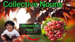Collective Nouns ,Fun & Easy Lesson for Kids and All English Learners