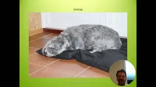 uitlegvideo thema gedrag basisstof 1