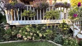 Transplanting in Fall 🌾 | Setting the Stage for a Gorgeous Spring Garden
