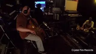The New Form of the Grail (Human and Plant Music)