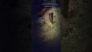 Cape Town | South Africa | Snake on a hike!  What to do?