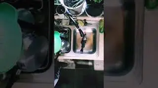 How to clean and prepare trout for freezing !!