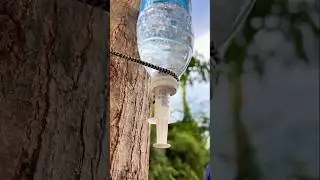 SAVE Water With This Simple Tip!
