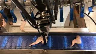 Chicken Wing Pick & Place