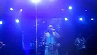 kultur shock Sziget2008