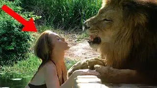 Most AMAZING Lion Tamers In The World!