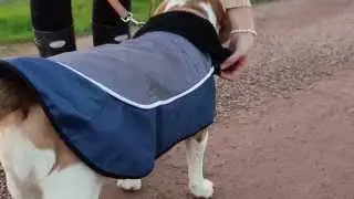 Night-Bright LED Jacket