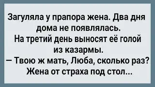Как у Прапорщика в Части Жена Загуляла! Сборник Свежих Анекдотов! Юмор!