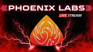 Phoenix Labs: LIVE STREAM!