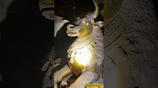 🐄 Buried in Stone, an Ancient Golden Cow Watched in Silence #GoldenCow