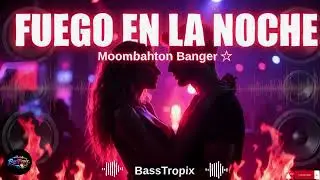 Fuego En La Noche (Fire In The Night) | New Reggaeton Moombahton Music | BassTropix 2026