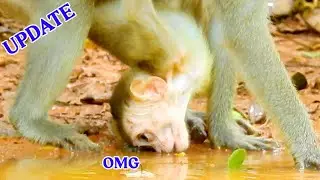 OMG Very poor see baby girl Elpida lay down drink water like this, Elpida very thirsty tries & tries