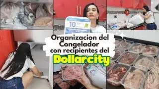 | Como organizar las carnes en el congelador con recipientes del #DOLLARCITY, muy económicos |