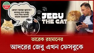 তারেক রহমানের পোষা বিড়াল জেবুর নামে চালু হলো অফিসিয়াল ফেসবুক পেজ | Jebu Cat | Tarique Rahman