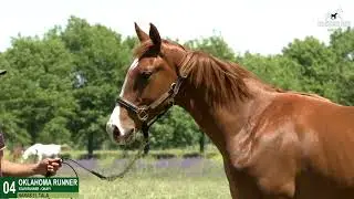 04   OKLAHOMA RUNNER