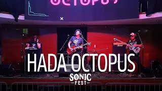Hada Octopus en el Sonic Fest: Día de Todos los Muertos | Festiva