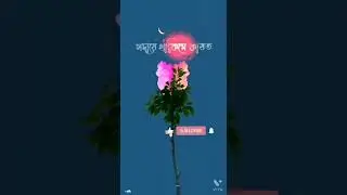 #Shorts## video #DNtoik2. Shorts#dntoik.#shorts.