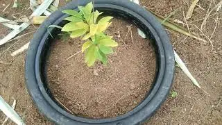 simple way of recycling used motorcycle tires
