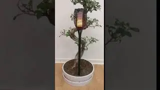 Solcelle-fakkel med flammelys