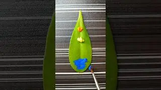 Painting of sunset on leaf 🌿#leaf #painting #shorts #viral