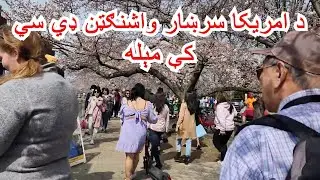 د امریکا سرښار واشنګټن ډي سي کې مېله