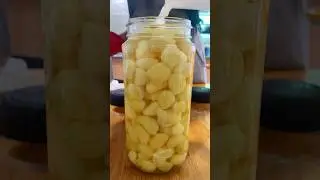 Quick & Delicious Pickled Garlic Recipe &ndash; Add a Burst of Flavor! 🧄🔥 #PickledGarlic
