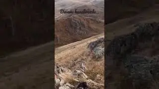#keklikavı #kurzhaar #ferma #huntingpartridge #chukar #perdiz #aport  #germanshorthairedpointer