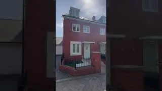 Sunflower Road Video