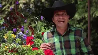 PROFEC&Iacute;A DE AMOR      MIGUEL ARMANDO    REALIZ&Oacute; TEATRO RINC&Oacute;N FRESCO FC