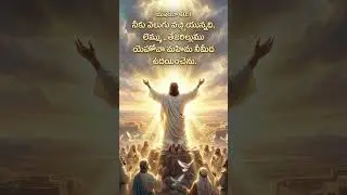 God's Plan 🙏 #god #christian #jesus #viral #song #shorts #trending #christian #love #bibleverse#word