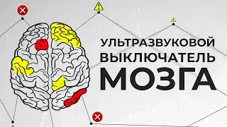 Как отключить мозг с помощью ультразвука? [Veritasium]