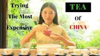 Trying The Most Expensive Tea Of China In Hangzhou | TRAVEL VLOG
