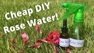 How to Make Rose Water at Home in 5 Easy Steps