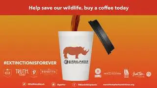 GMFER - cup animation