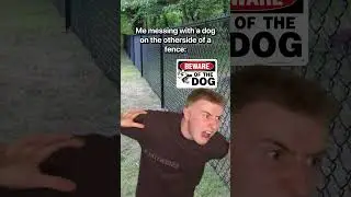 When You Mess With A Dog #Shorts