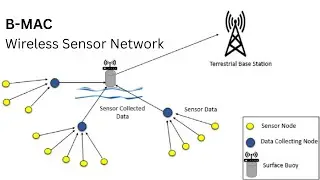 1.5d Berkeley media access control (B-MAC) | Random Access Based Protocols | Wireless Sensor Network