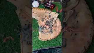 Watch this Baseball First Base Mitt come back to life 👀 #asmr #asmrsounds #baseball #baseballglove