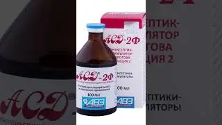 🇺🇿 ASD-2 Фракцияси ҳақида ҳақиқий таассуротлар!