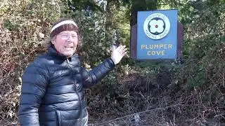 Plumper Cove - Sailing Volare
