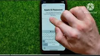 How to reset iPhone 2023