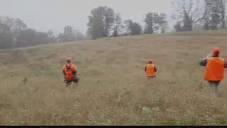 &lsquo;Operation Game Thief&rsquo; program helps prevent wildlife crimes in Pa.