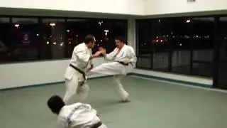 The Open Dojo