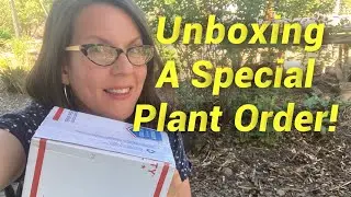 Unboxing A Surprise Perennial Plant Order!! Welsh Onion, American Groundnut, Sweet Bay!