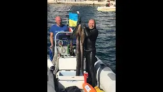Азбука подводной охоты. Начинаем проект.